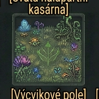 Výcvikové pole